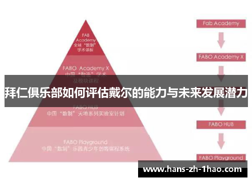 拜仁俱乐部如何评估戴尔的能力与未来发展潜力 拜仁俱乐部如何评估戴尔的能力与未来发展潜力