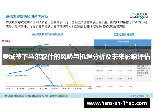 曼城签下马尔穆什的风险与机遇分析及未来影响评估