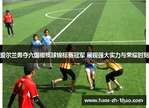 爱尔兰勇夺六国橄榄球锦标赛冠军 展现强大实力与荣耀时刻