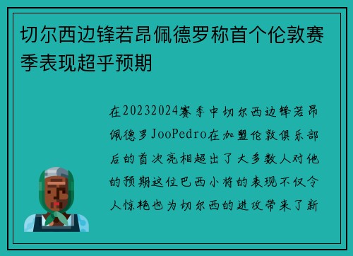 切尔西边锋若昂佩德罗称首个伦敦赛季表现超乎预期